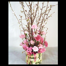 桜・SAKURA