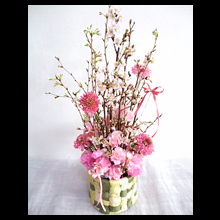 桜・SAKURA