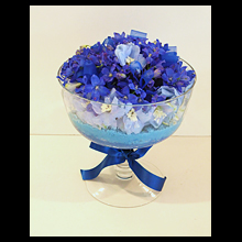 blue&blue 青をいけよう!!
