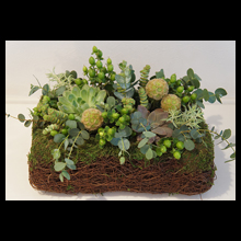 多肉植物のインテリアBOX(フレッシュフラワー)