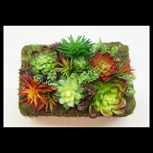 多肉植物のインテリアBOX(フェイク)