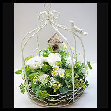 Birdcage Design