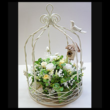 Birdcage Design