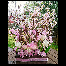 桜・BOX 生花