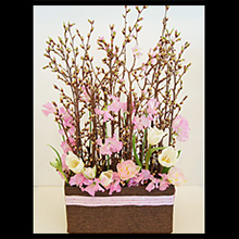 桜・BOX 生花